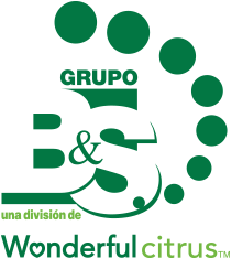 BS Grupo logo